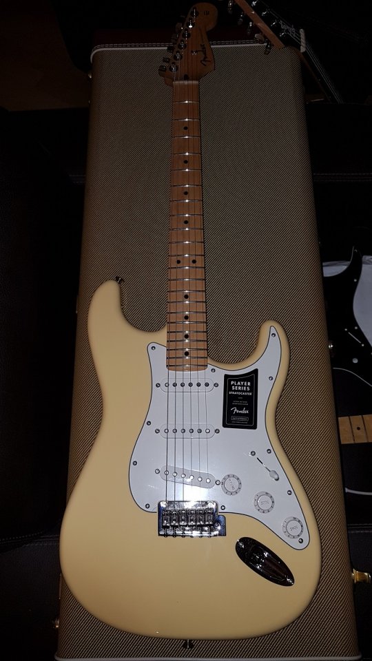 Fender Player Stratocaster SSS 01_K.jpg