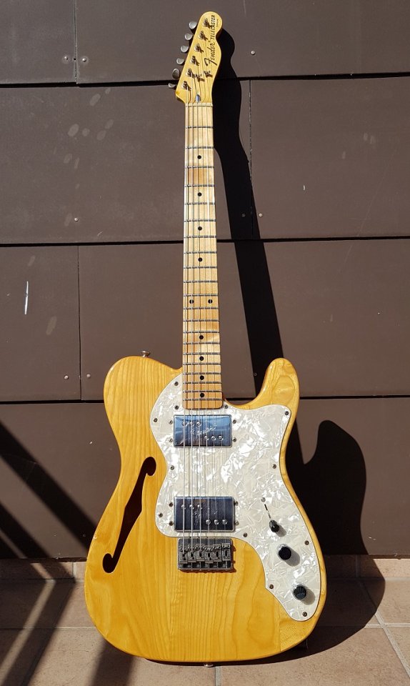 Fender Telecaster Thinline 001_K_Test.jpg