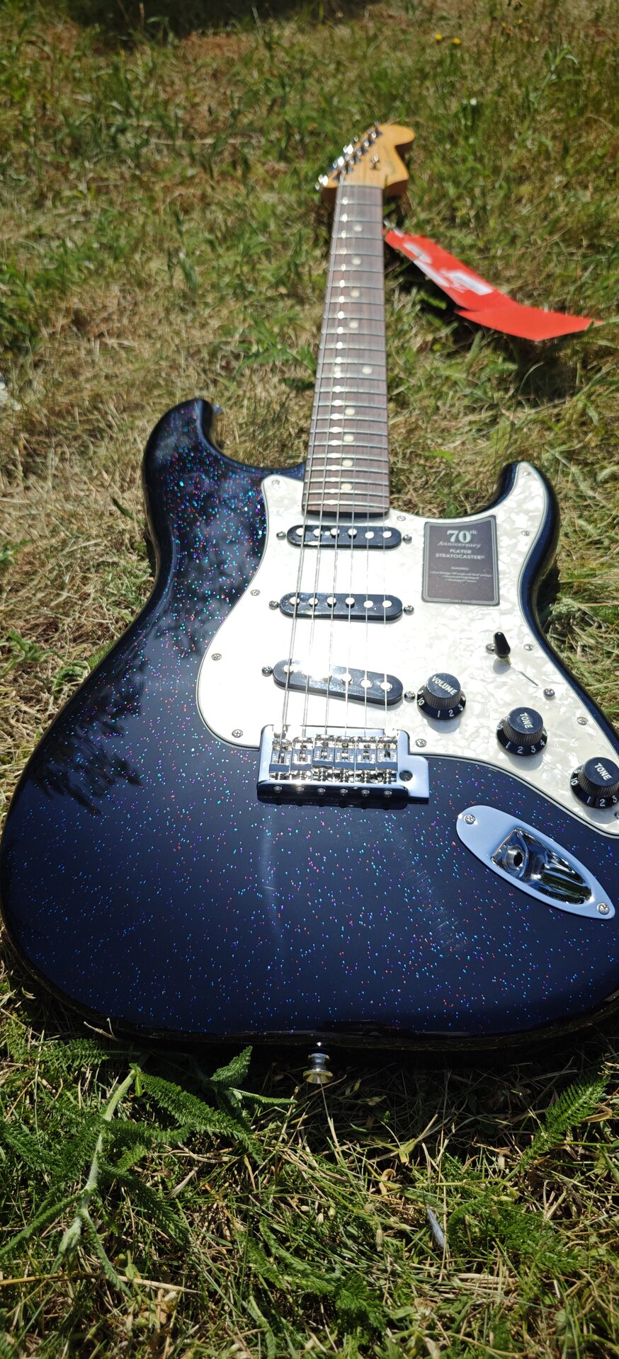 Fender2.jpg