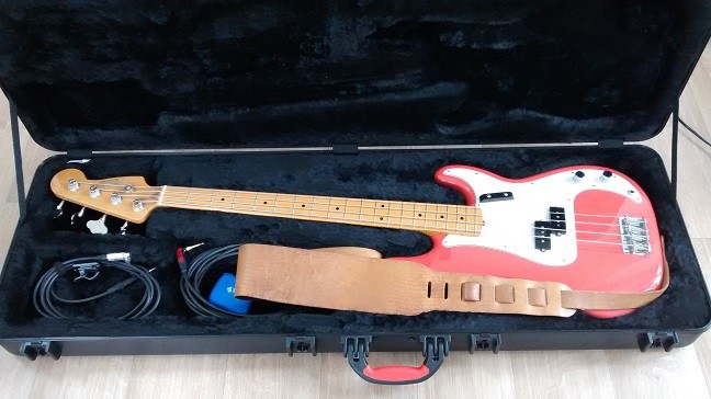 Fender_Case_1.jpg