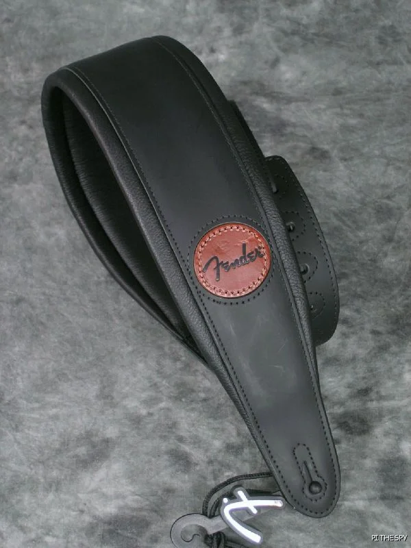 fenderblackstrapding.webp