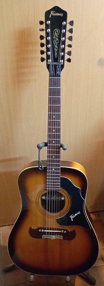 Fertige Gitarre.jpg