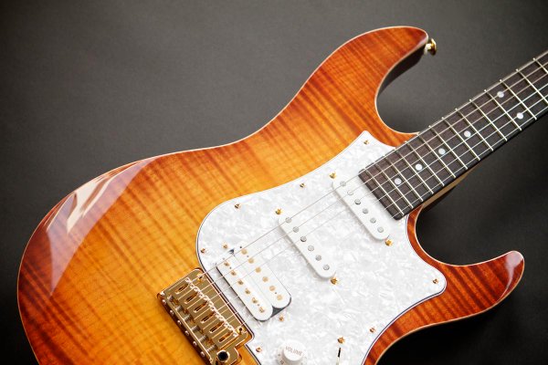 fgn_expert .jpg
