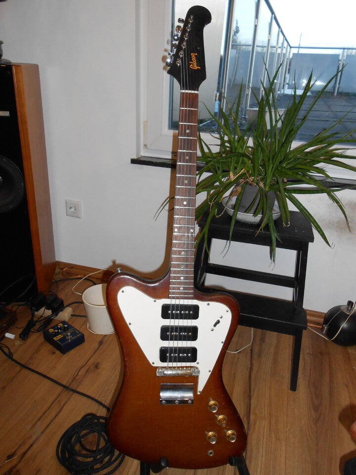 Firebird.jpg