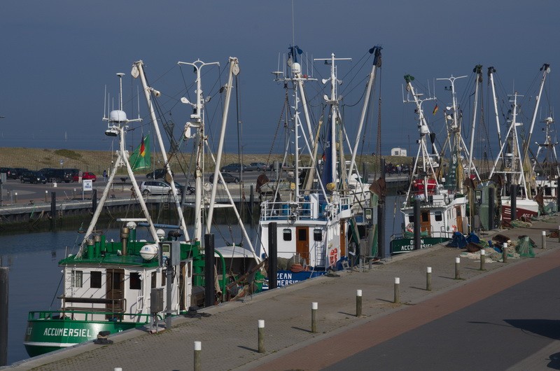 Fischerflotte.jpg