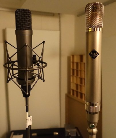 FLEA 12 and M990_micro.JPG