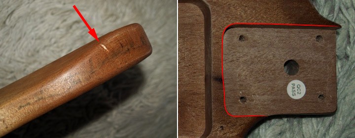 fleischwundeHalstasche.jpg