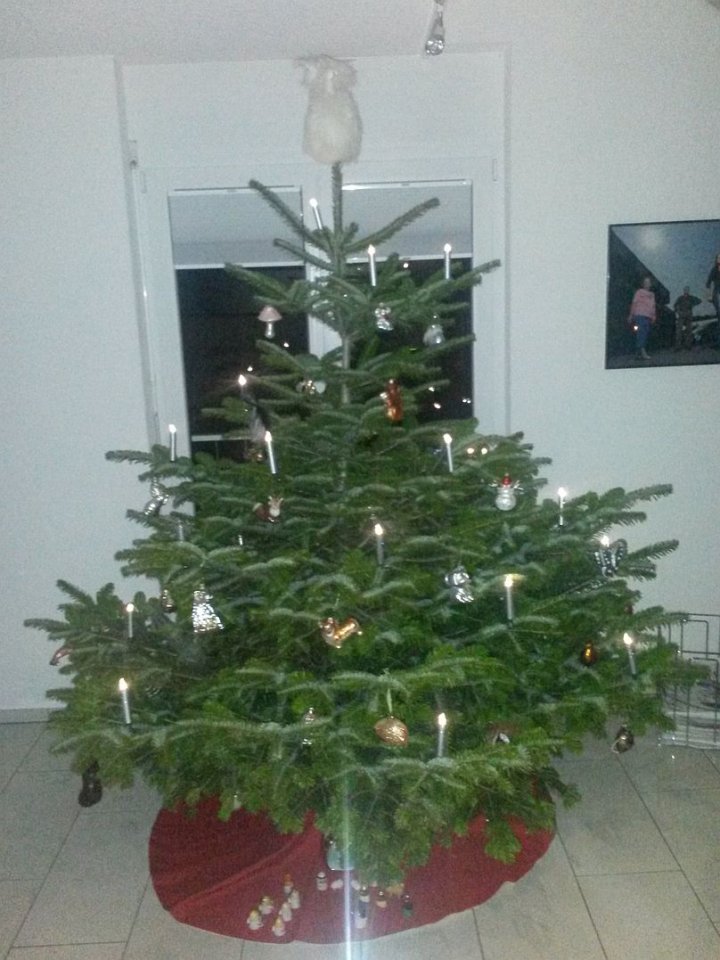 Fragers Christbaum.jpg