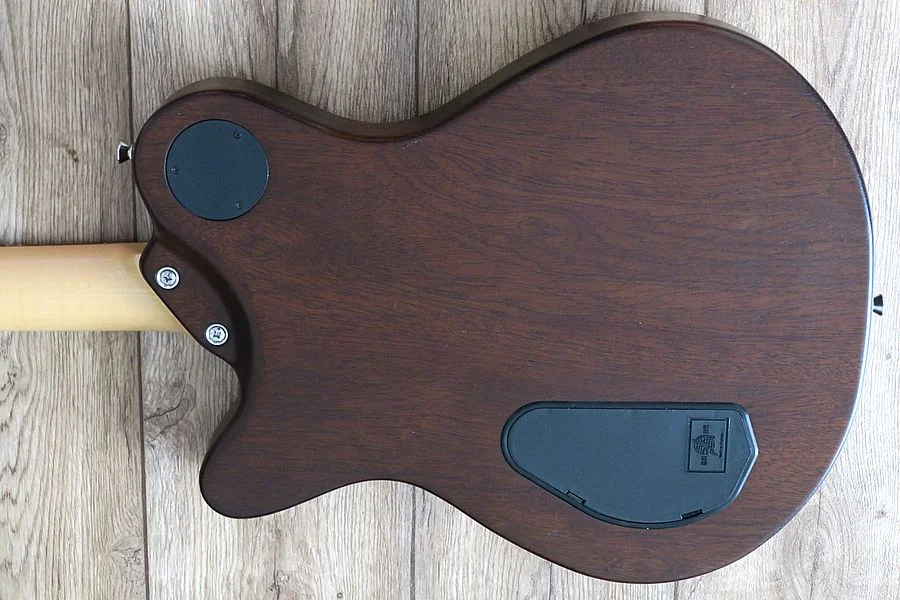 Framus Panthera Back.webp