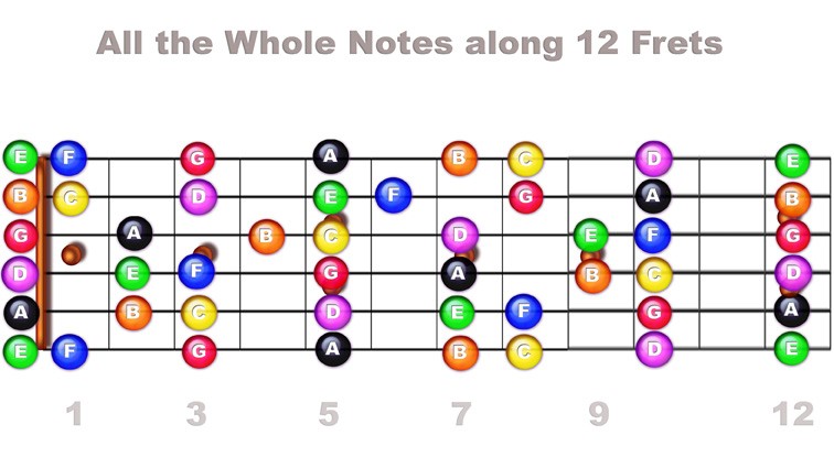 fretboard-whole-notes.jpg