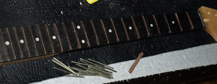 Fretless.jpg