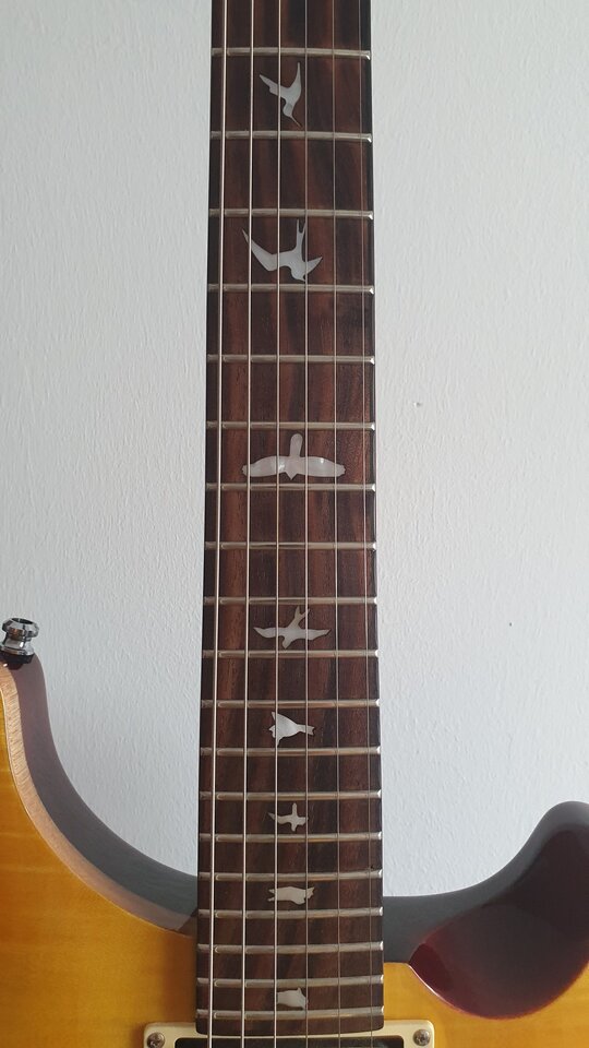 Frettboard lang.jpg
