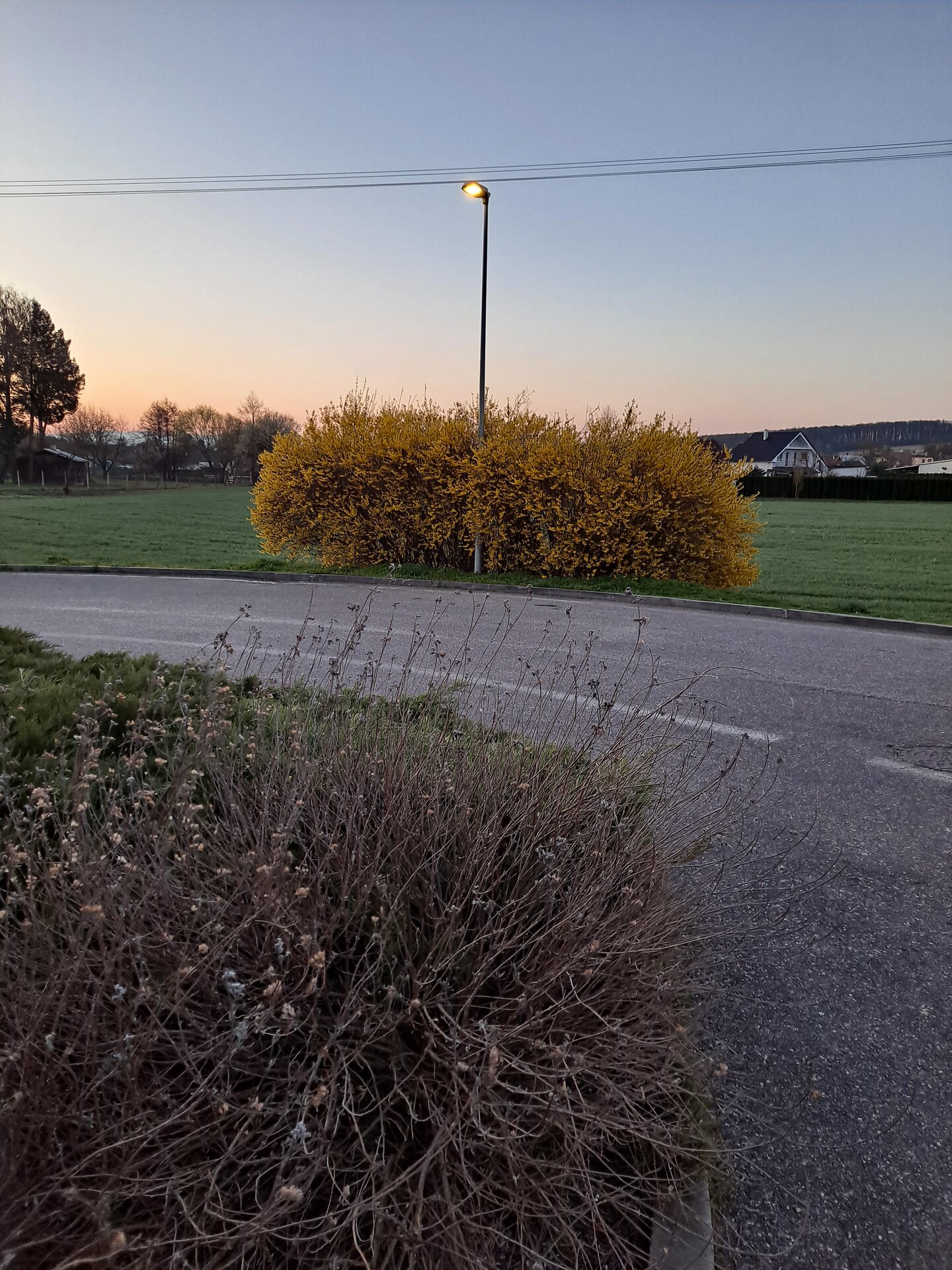 Frühling.jpg