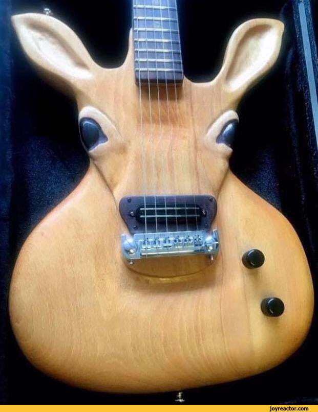 funny-pictures-Guitar-6262057.jpeg