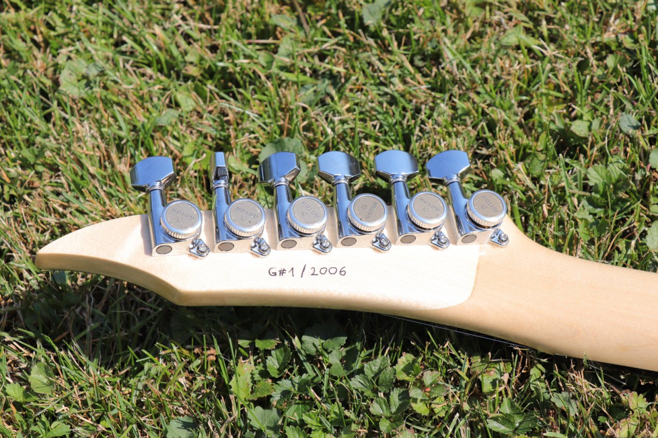 G#1_Elektra_Glide_07.jpg