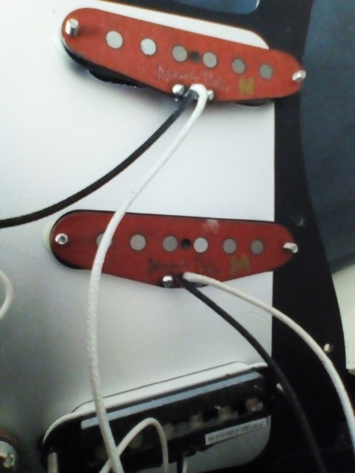 g pus voodoo + squier.jpg