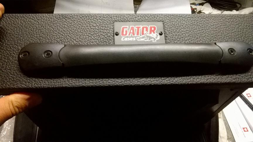 Gator_12.jpg