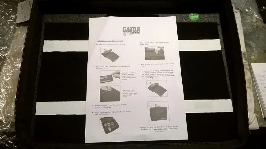 Gator_5.jpg