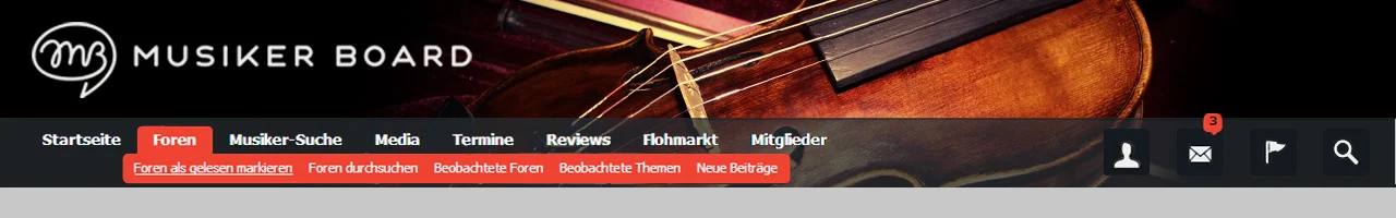 geige Kopie mit cover.webp