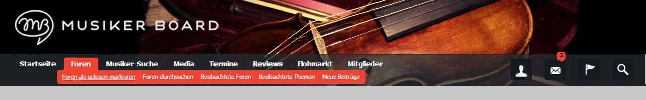 geige Kopie zerfetzt mit cover.webp