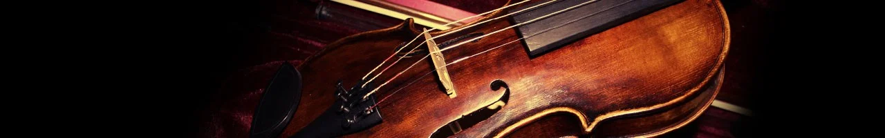 geige Kopie1.webp