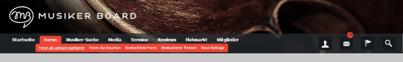 geigeback Kopie mit cover.webp