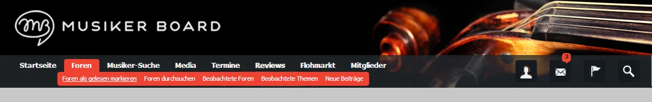 geigenkopf Kopie mit cover.webp