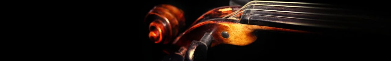 geigenkopf2 Kopie.webp