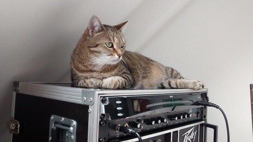 georgie-amp-kl.jpg