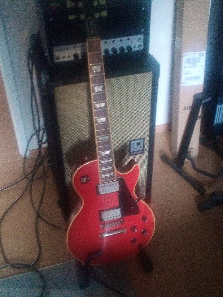 Gibson LP Standard Plus Limited.jpg