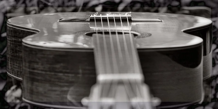 Gitarre2_13.JPG