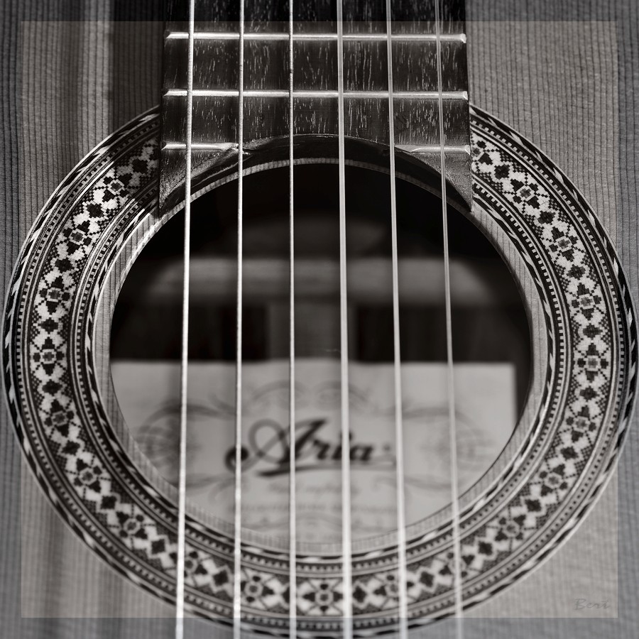 Gitarre2_20.JPG