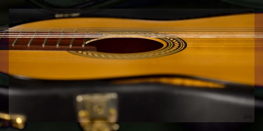 Gitarre_03.JPG