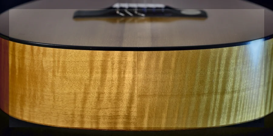 Gitarre_05.JPG