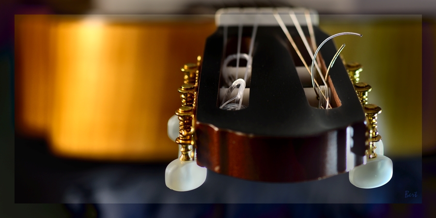 Gitarre_12.JPG