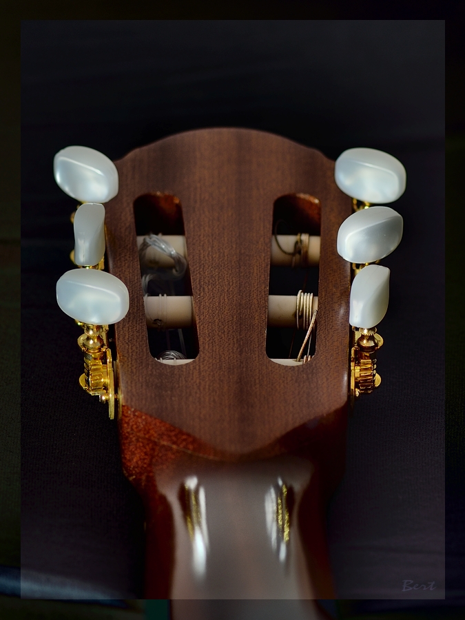 Gitarre_13.JPG