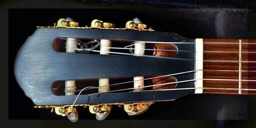 Gitarre_14.JPG