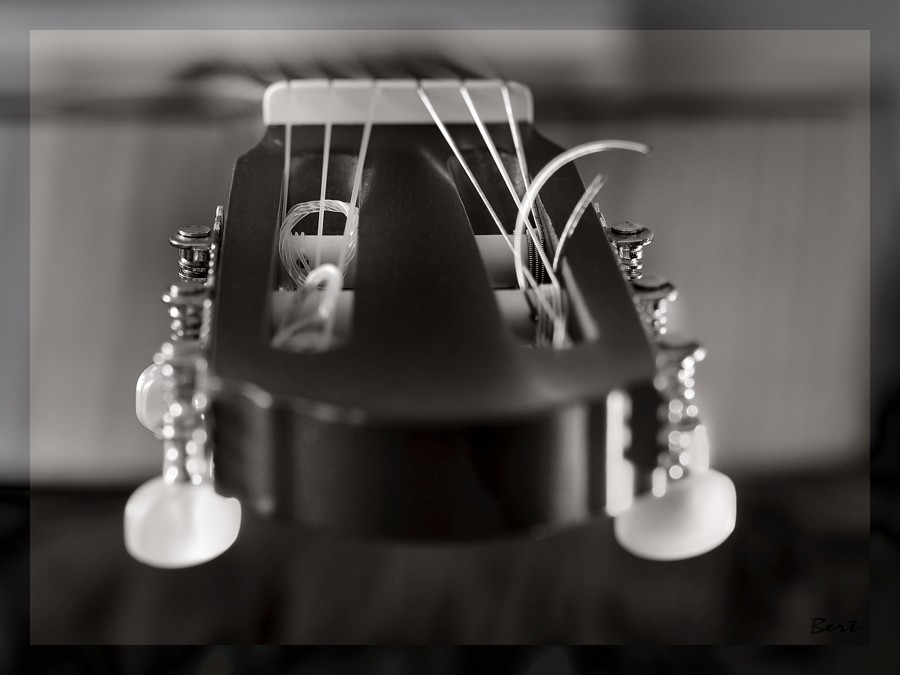 Gitarre_19.JPG