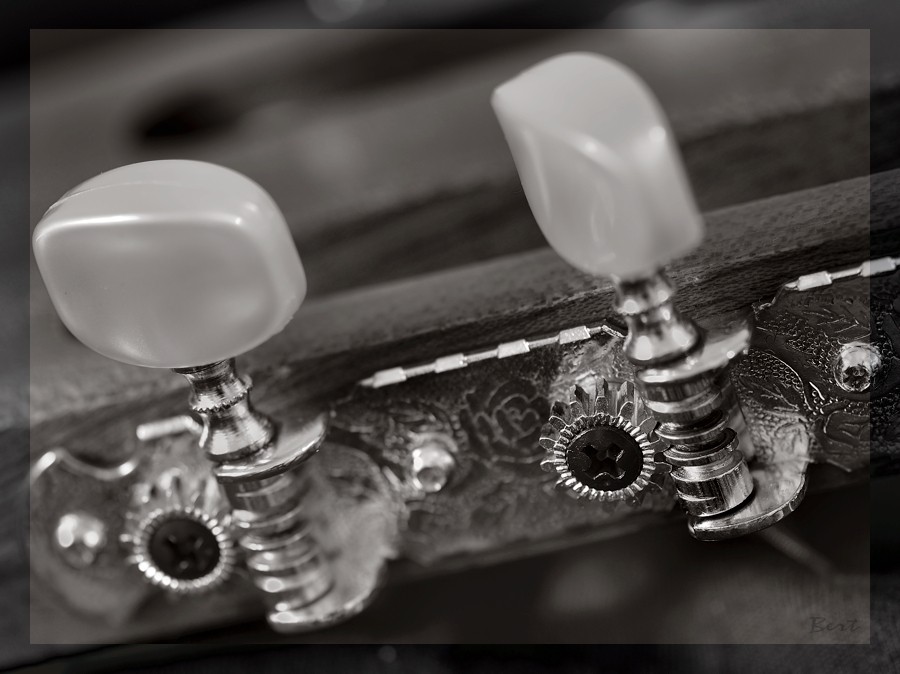 Gitarre_20.JPG