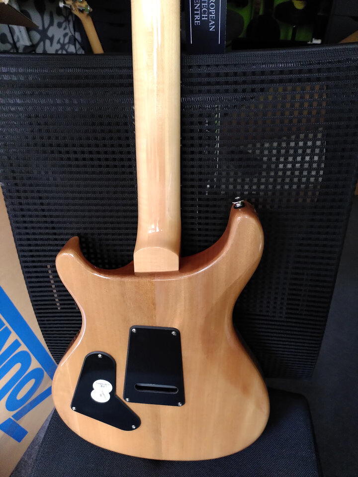 Gitarre_Back.jpg