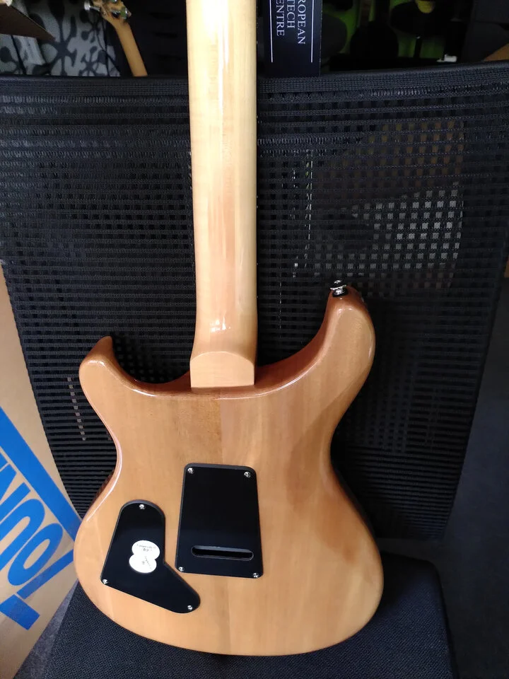 Gitarre_Back.jpg