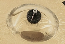 Glocke hell.jpg