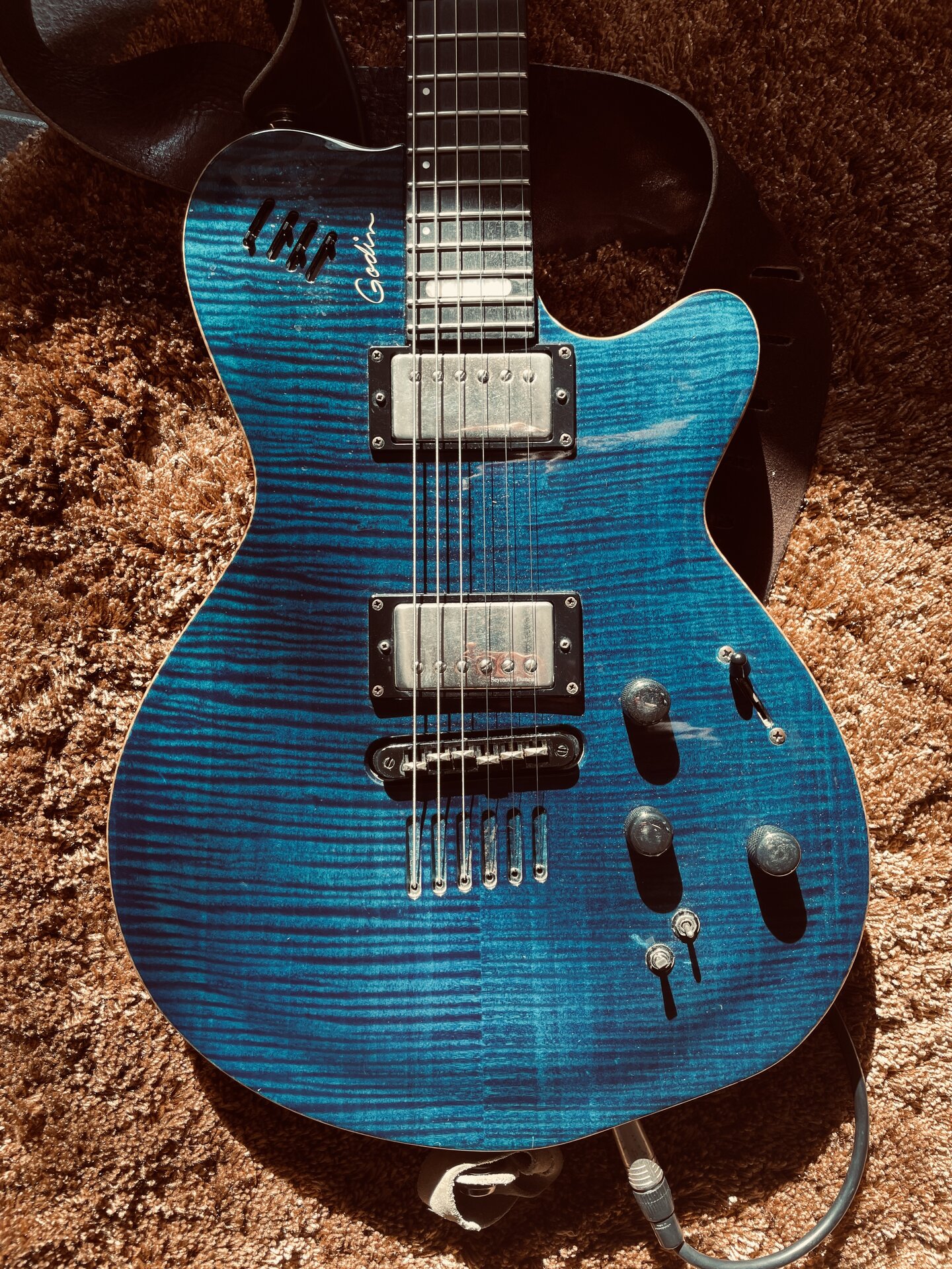 Godin NYXL sunlight.JPG