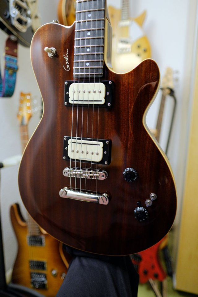 Godin_Icon.JPG