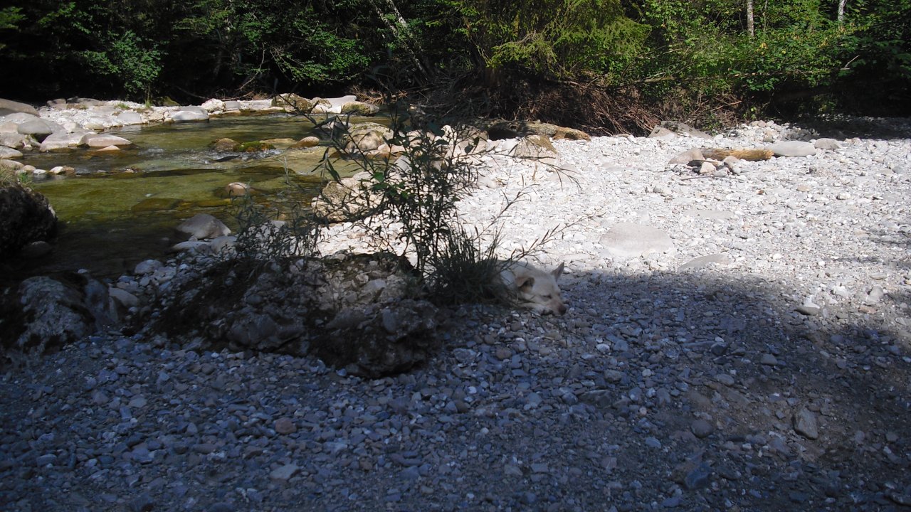 Gretelambach.JPG