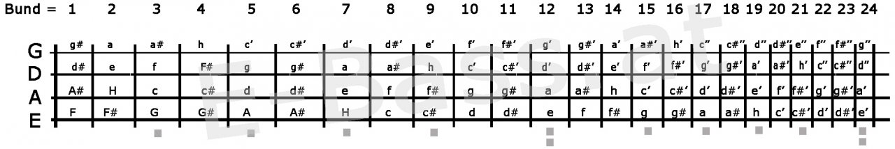 griffbrettnoten_24.jpg
