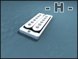 H.jpg