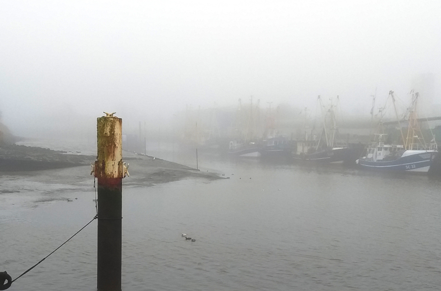 Hafen1.jpg