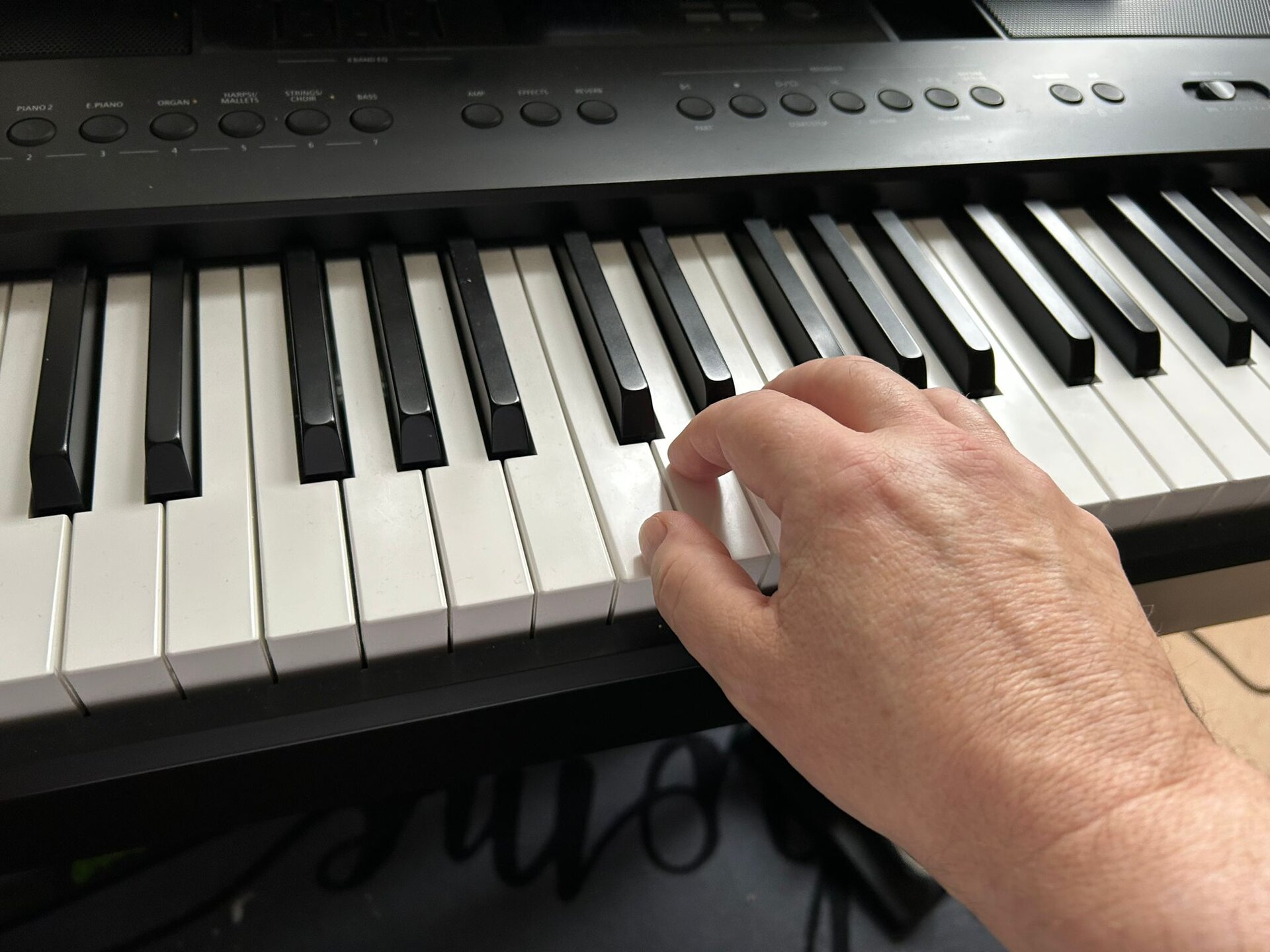 Hand 1.jpg