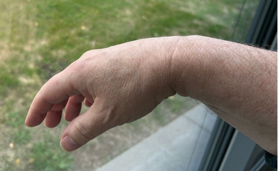 Handhaltung natur.jpg